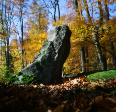 Vložený obrázek