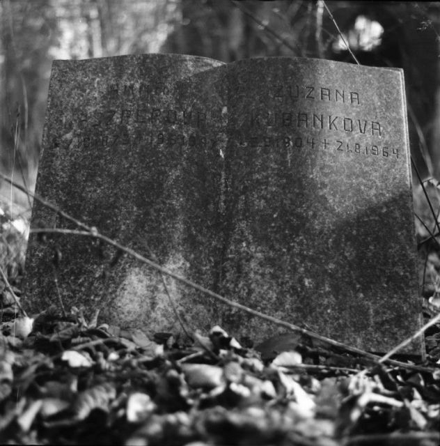 zapomenutý hřbitov