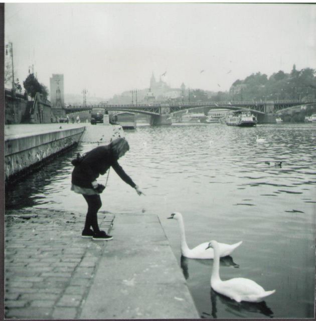 Slečna a labutě - Praha