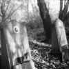 Zapomenutý hřbitov  fotila slečna s polaroidem