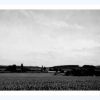 PICT0025