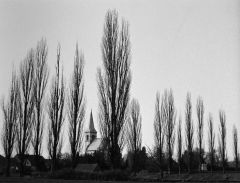 Radonice