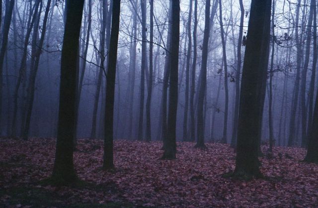 (Trochu menej) Temný kunraťák