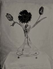 ambr24x30 01