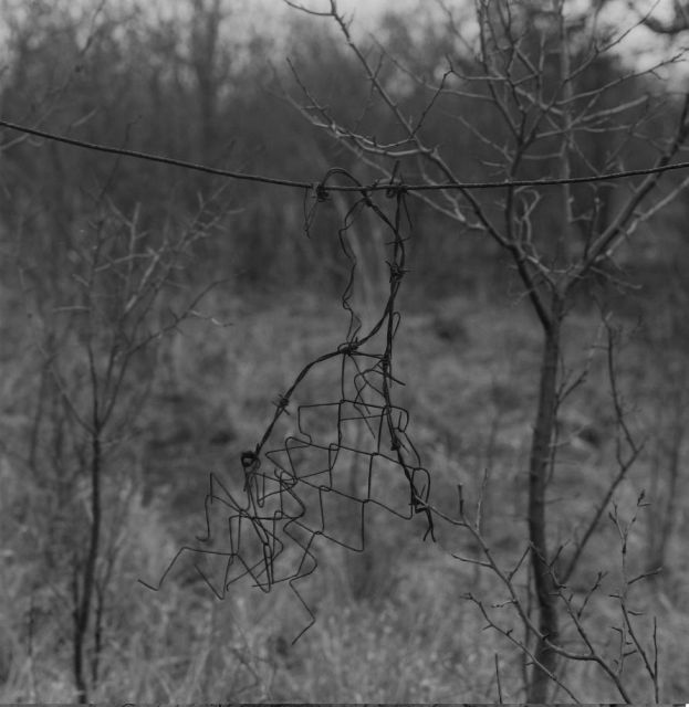 plot - Litoměřice Radobýl plot - Litoměřice Radobýl