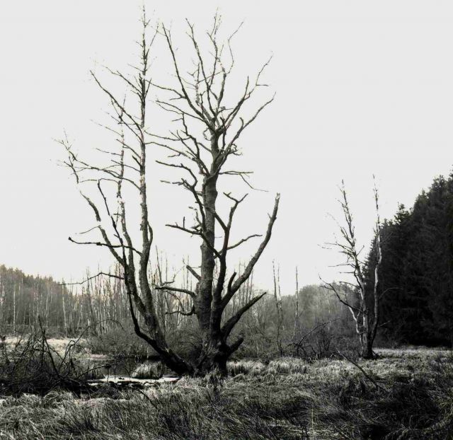 Zátopy