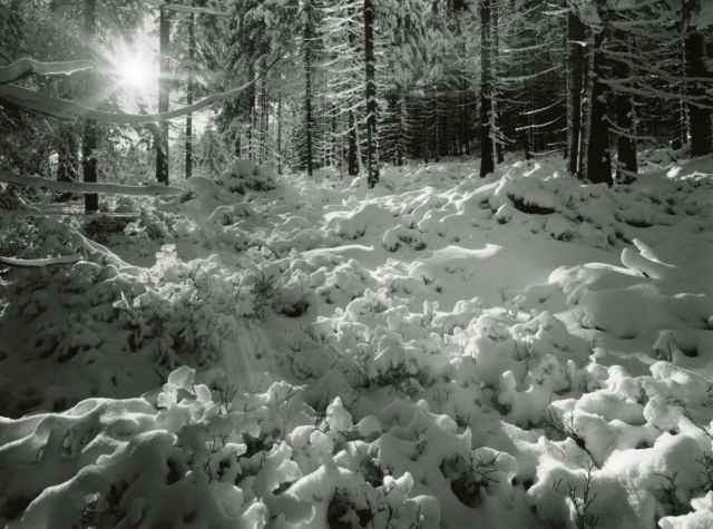 První sníh, polské Jizerky