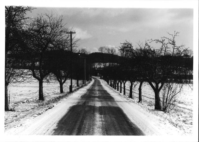 Praktica MTL 5, Fomapan 100