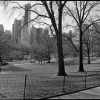 Central Park