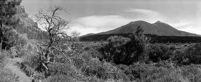 Pico de Teide