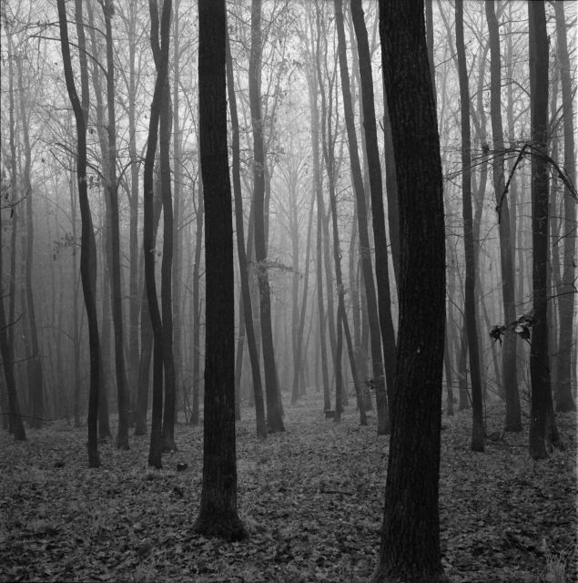 Les v mlze