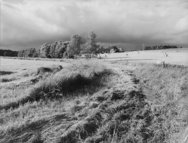 V létě před deštěm