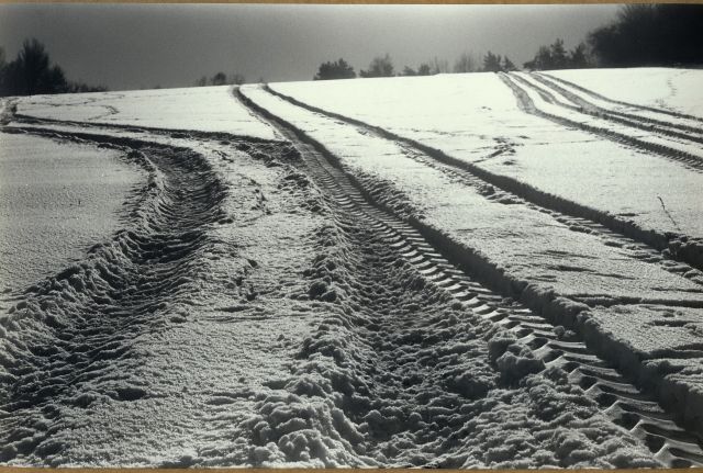 Modřínový Vrch u Úšavy