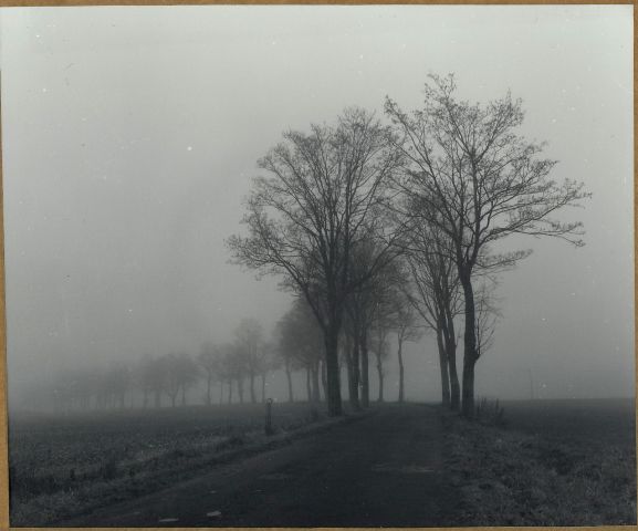 Dřevohryzecká cesta od Teplé 2014/Xii. (Mamiya RB67/65mm/delta100@tetenal Ultrafin) Začátky se středním formátem