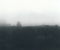V mlze a dešti