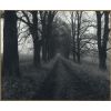 Novodvorská alej 2014/Xii. (Mamiya RB67/65mm/delta100@tetenal Ultrafin) Začátky se středním formátem