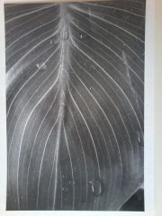 20161205 103138