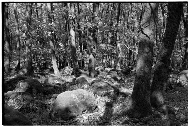 Štiavnické vulkanity