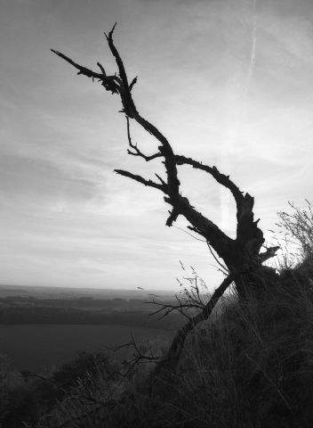 na Kunětické hoře