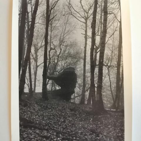 IMG 20201120 161111 489