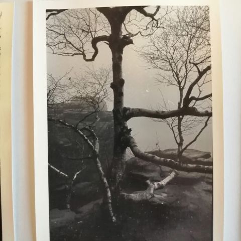 IMG 20201120 161259 444