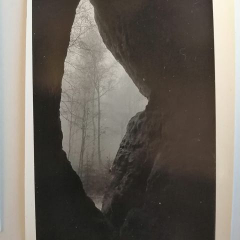 IMG 20201120 161406 117