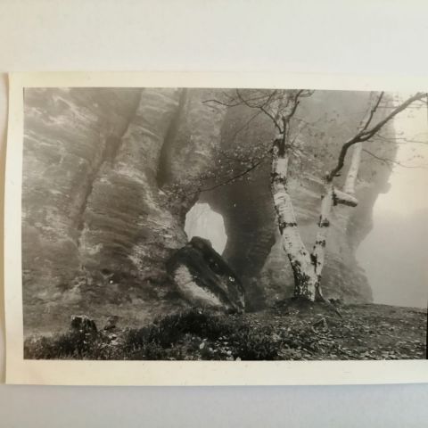 IMG 20201120 161430 168