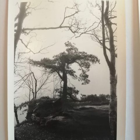 IMG 20201120 161330 870