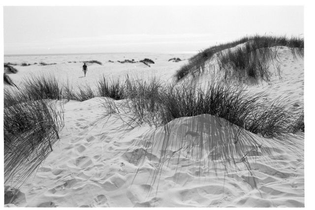 Vzpomínka na moře 5 (Amrum)