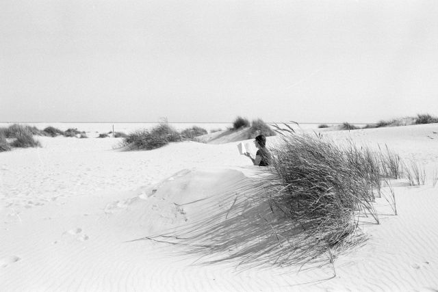 Čtenářka v dunách
