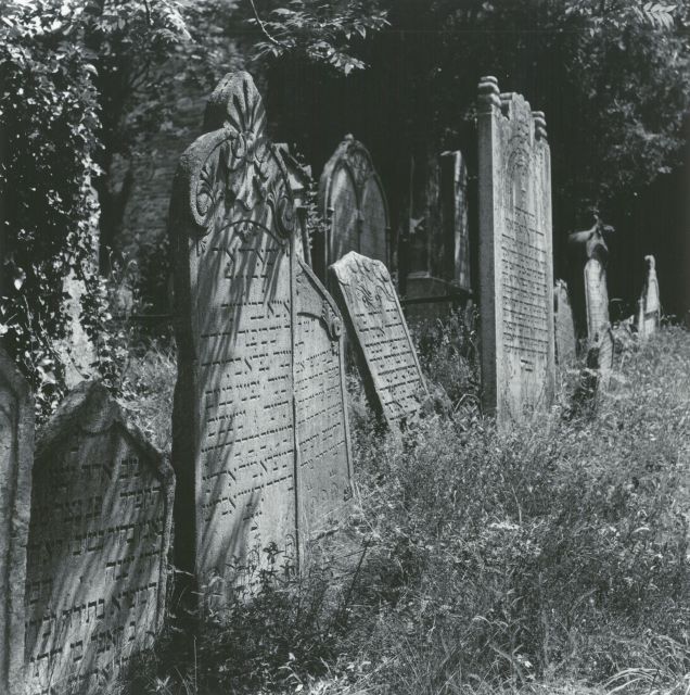Židovský hřbitov Mikulov