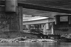 Ilford Pan 100 35