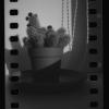 Zkušenosti s Fujifilm GW690 - poslední příspěvek od pavelp